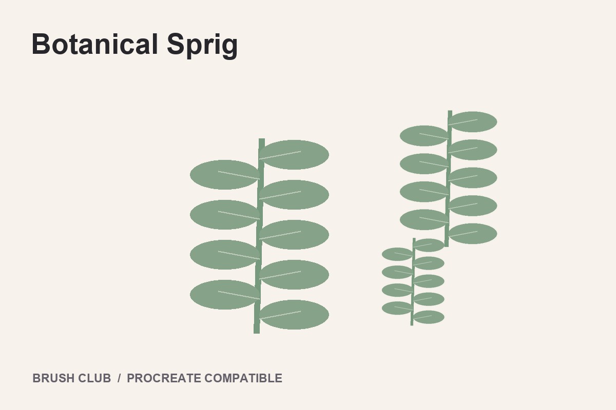 Botanical Sprig preview
