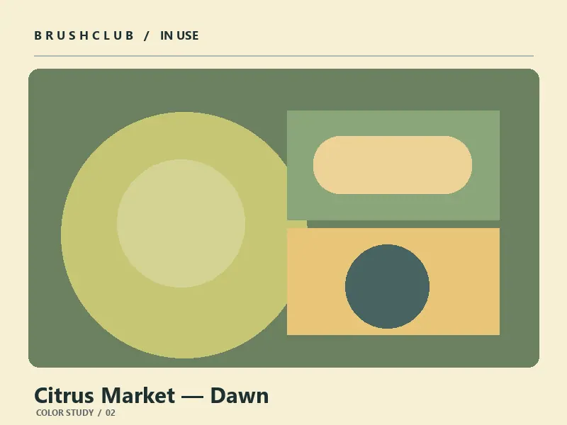 Citrus Market — Dawn color palette usage example 2